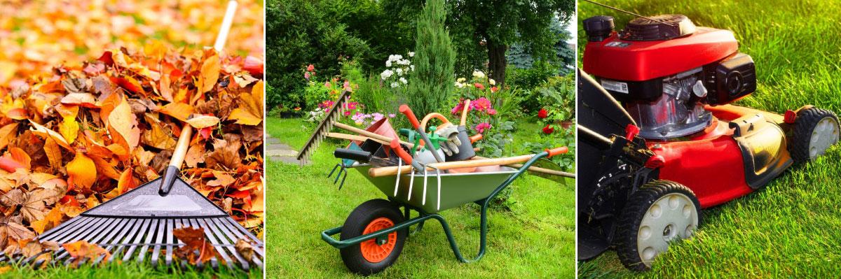 Curățenie la reședințe